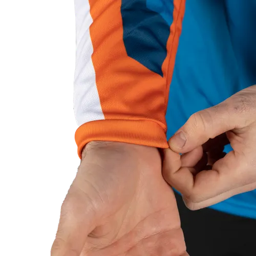 Polsini