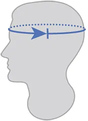 Un'illustrazione schematica di una testa maschile con una linea blu a forma di freccia che indica la misurazione della circonferenza del capo.