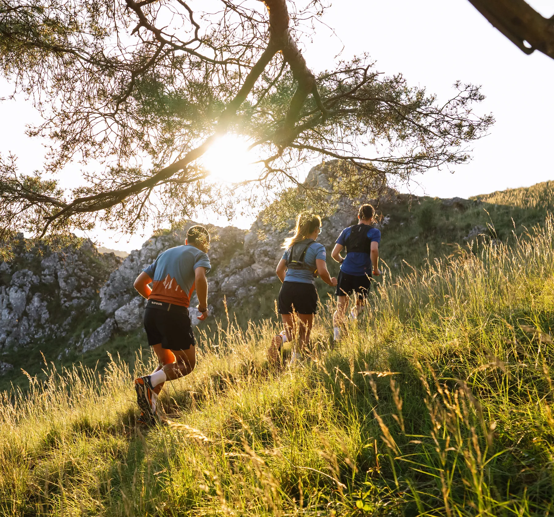 Tre corridori in abbigliamento sportivo corrono lungo una collina boscosa mentre il sole sorge dietro di loro.